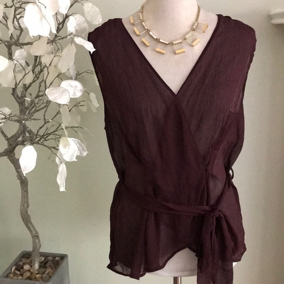 Banana Republic Tops - BANANA REPUBLIC SHEER TOP